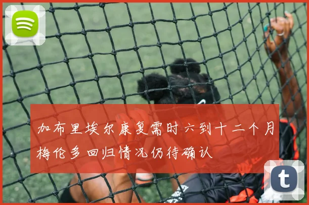 加布里埃尔康复需时六到十二个月梅伦多回归情况仍待确认