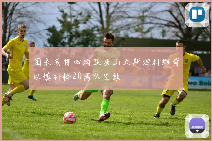 国米或将回购亚历山大斯坦科维奇以填补恰20离队空缺